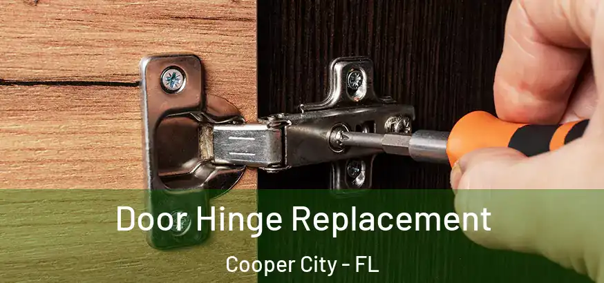  Door Hinge Replacement Cooper City - FL