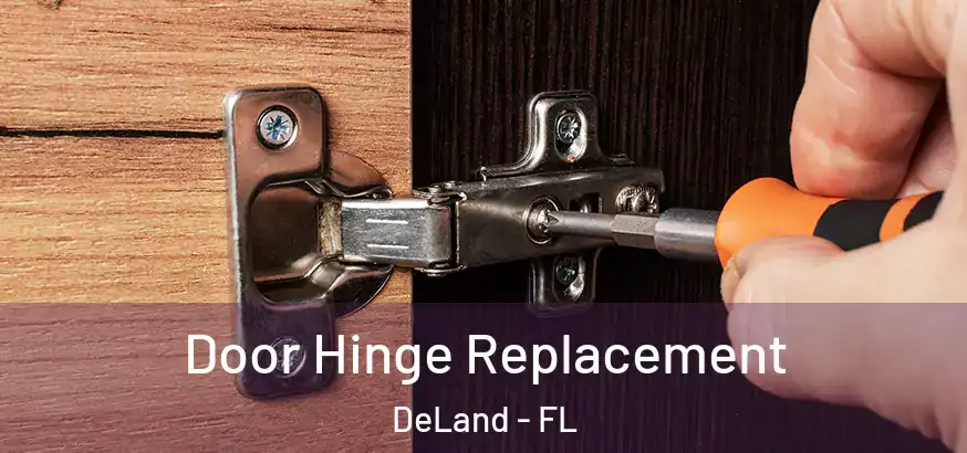 Door Hinge Replacement DeLand - FL
