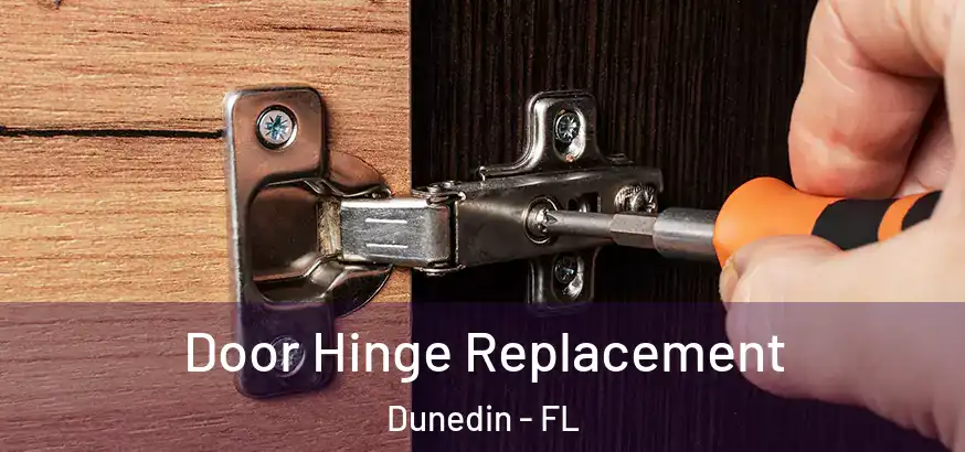  Door Hinge Replacement Dunedin - FL
