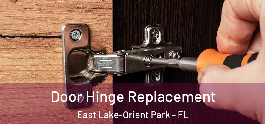  Door Hinge Replacement East Lake-Orient Park - FL