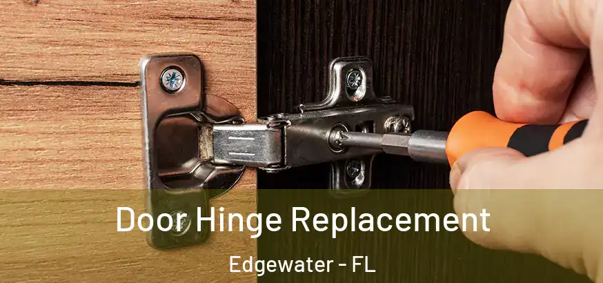  Door Hinge Replacement Edgewater - FL