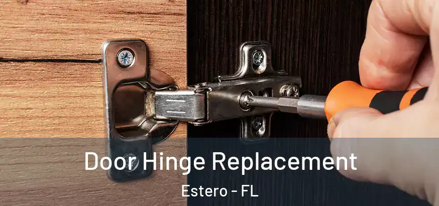  Door Hinge Replacement Estero - FL