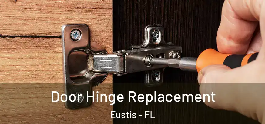  Door Hinge Replacement Eustis - FL