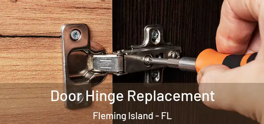  Door Hinge Replacement Fleming Island - FL