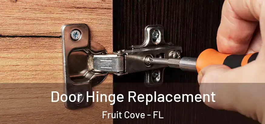  Door Hinge Replacement Fruit Cove - FL