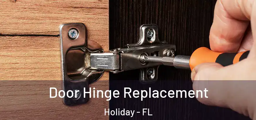  Door Hinge Replacement Holiday - FL