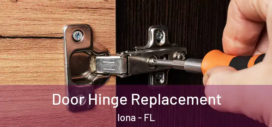  Door Hinge Replacement Iona - FL