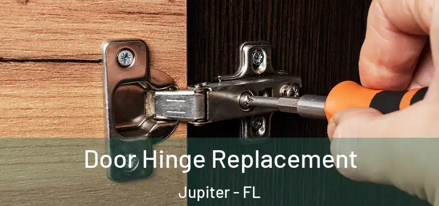  Door Hinge Replacement Jupiter - FL