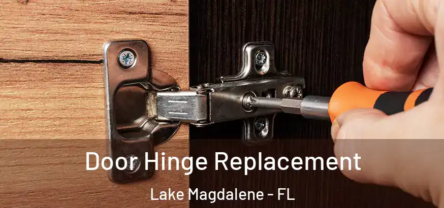 Door Hinge Replacement Lake Magdalene - FL