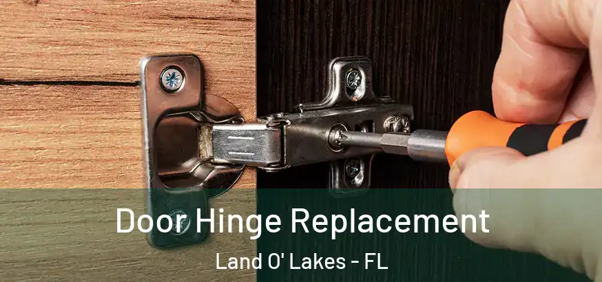  Door Hinge Replacement Land O' Lakes - FL