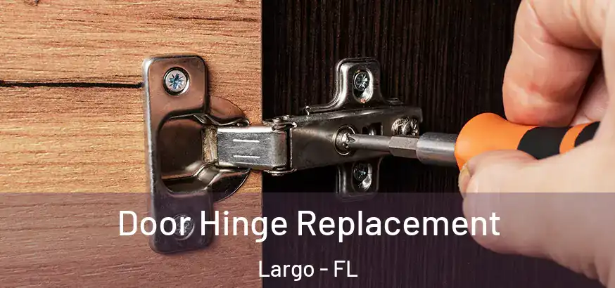  Door Hinge Replacement Largo - FL