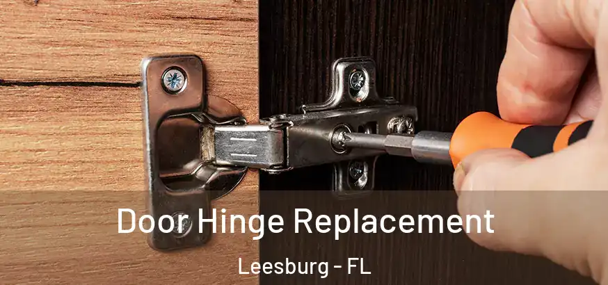  Door Hinge Replacement Leesburg - FL