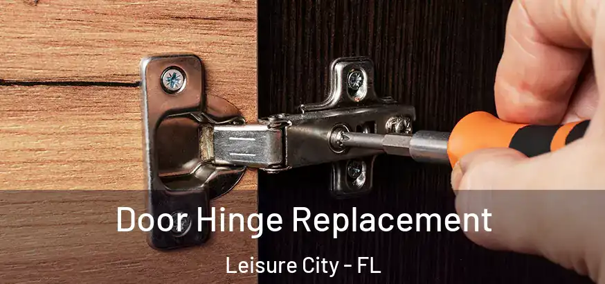  Door Hinge Replacement Leisure City - FL
