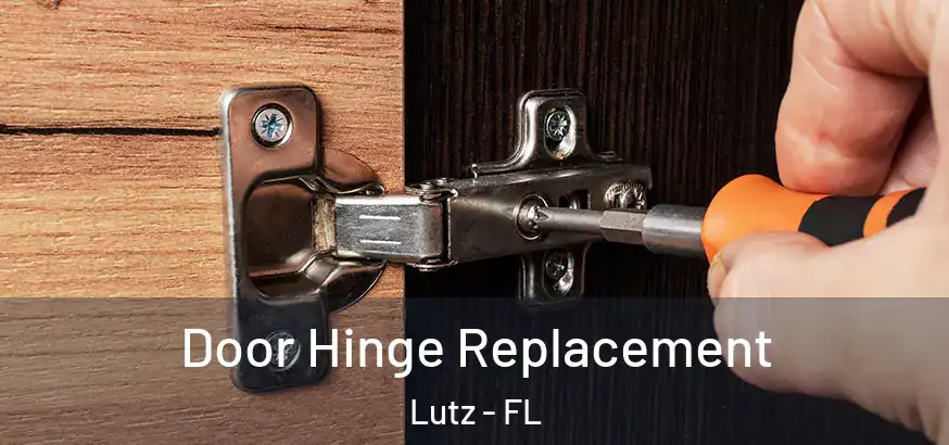  Door Hinge Replacement Lutz - FL