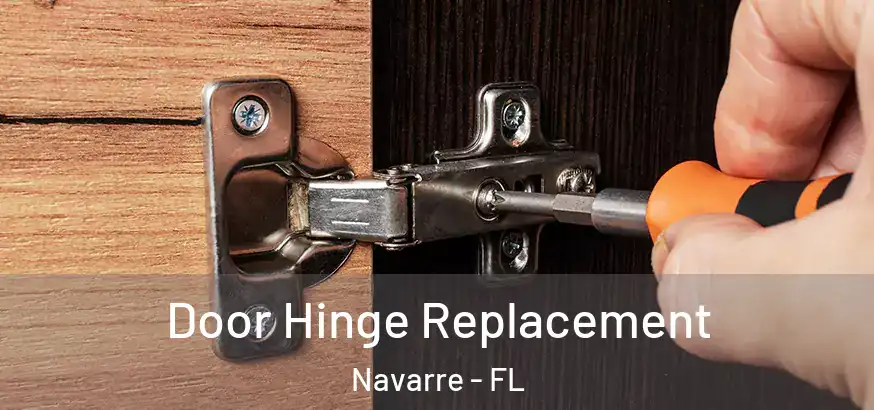  Door Hinge Replacement Navarre - FL