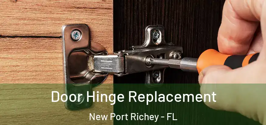  Door Hinge Replacement New Port Richey - FL