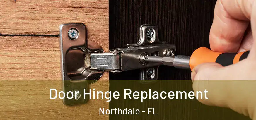 Door Hinge Replacement Northdale - FL