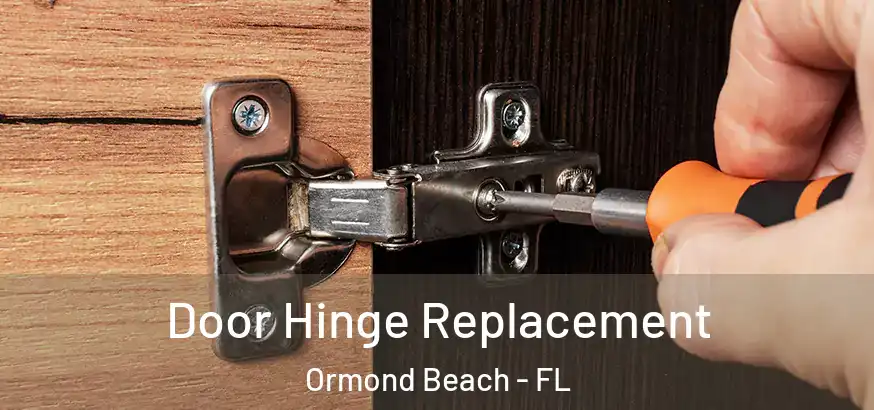  Door Hinge Replacement Ormond Beach - FL