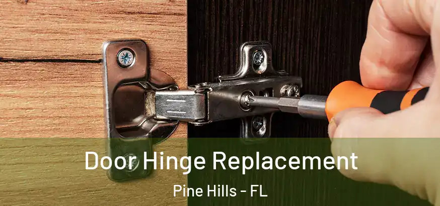  Door Hinge Replacement Pine Hills - FL