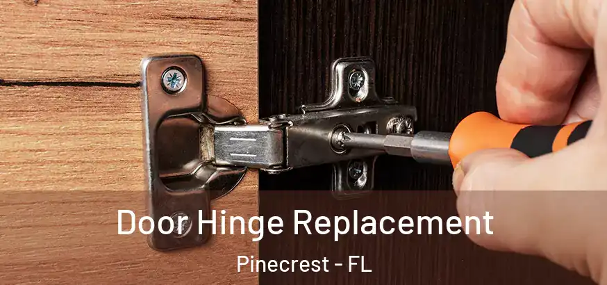  Door Hinge Replacement Pinecrest - FL