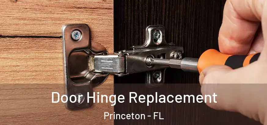  Door Hinge Replacement Princeton - FL