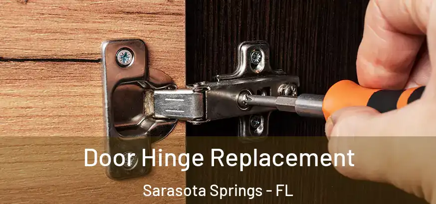  Door Hinge Replacement Sarasota Springs - FL