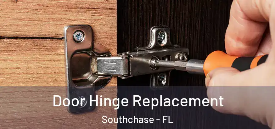  Door Hinge Replacement Southchase - FL