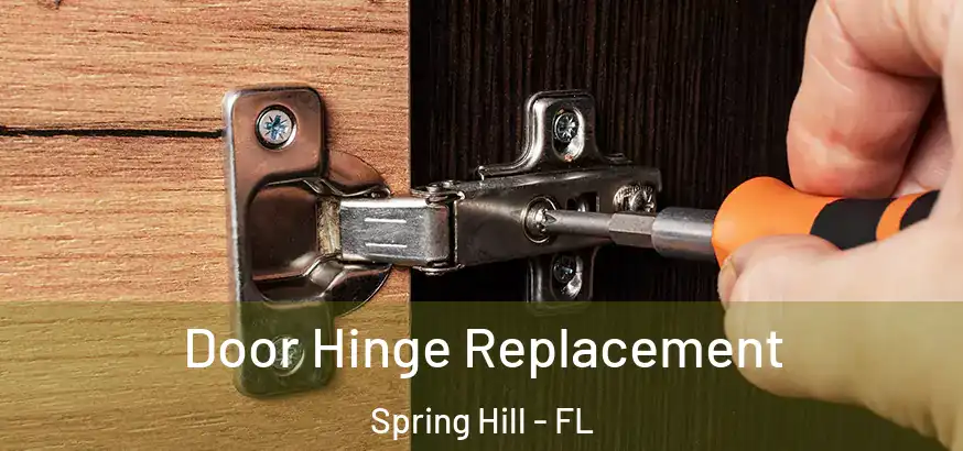  Door Hinge Replacement Spring Hill - FL