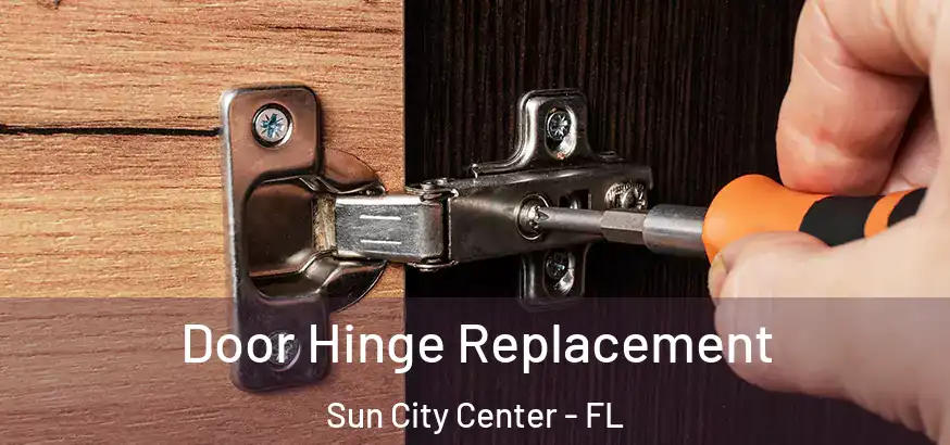  Door Hinge Replacement Sun City Center - FL