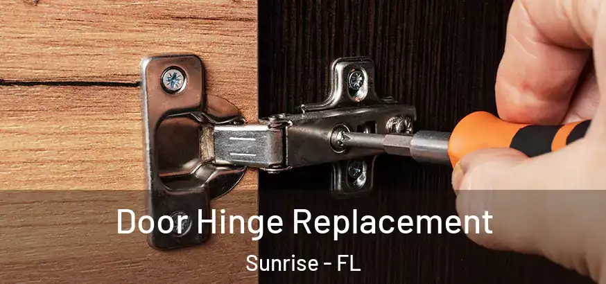  Door Hinge Replacement Sunrise - FL