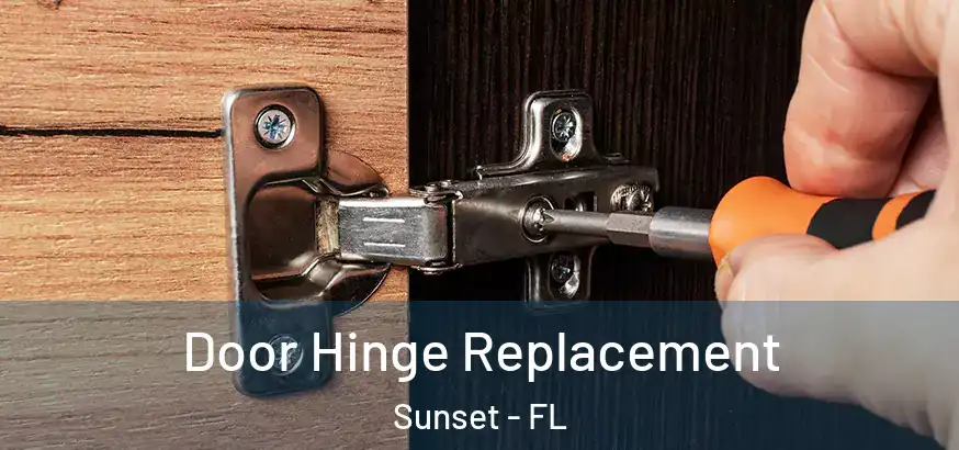  Door Hinge Replacement Sunset - FL