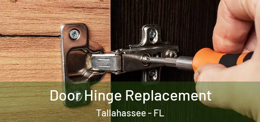 Door Hinge Replacement Tallahassee - FL
