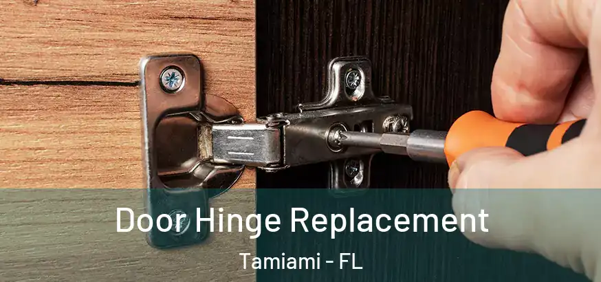  Door Hinge Replacement Tamiami - FL
