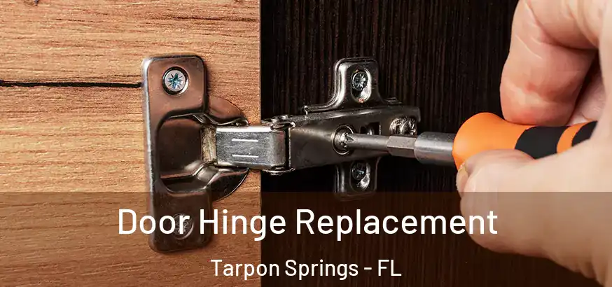  Door Hinge Replacement Tarpon Springs - FL
