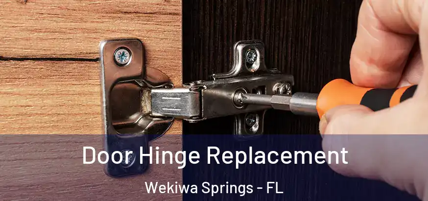 Door Hinge Replacement Wekiwa Springs - FL