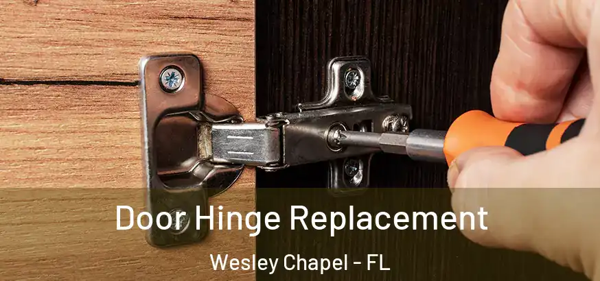  Door Hinge Replacement Wesley Chapel - FL