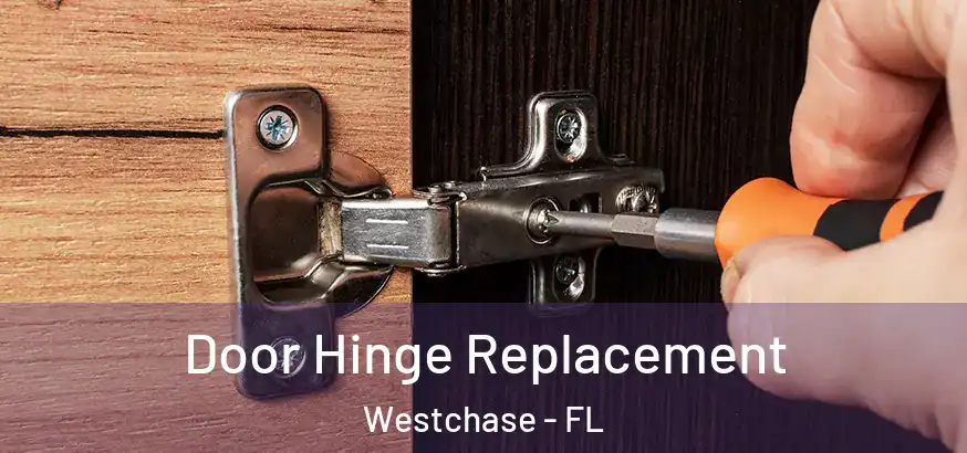 Door Hinge Replacement Westchase - FL