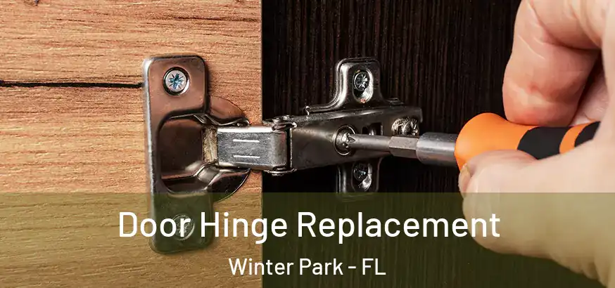  Door Hinge Replacement Winter Park - FL