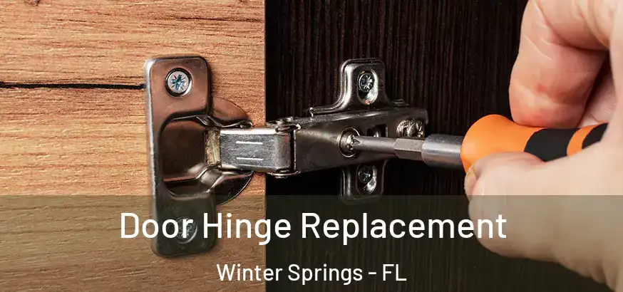 Door Hinge Replacement Winter Springs - FL