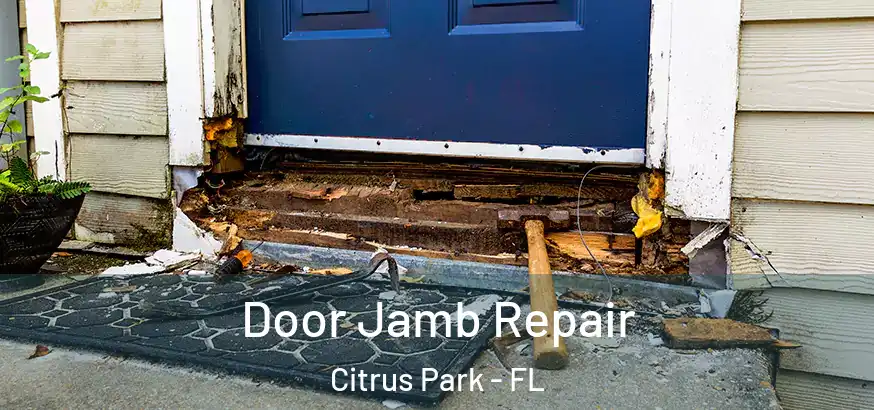  Door Jamb Repair Citrus Park - FL