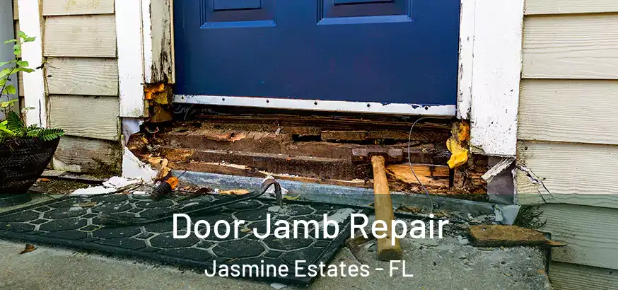  Door Jamb Repair Jasmine Estates - FL
