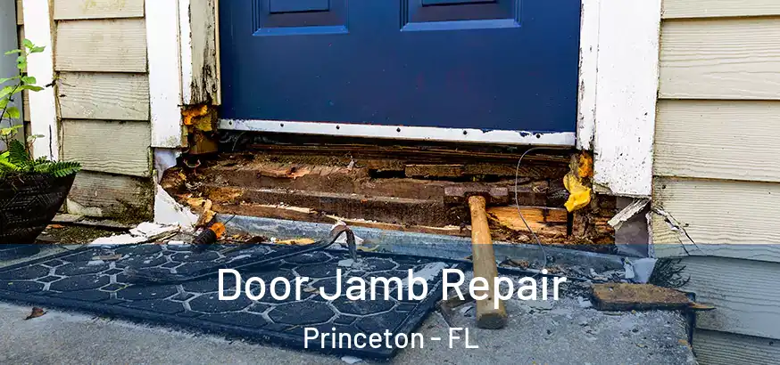  Door Jamb Repair Princeton - FL