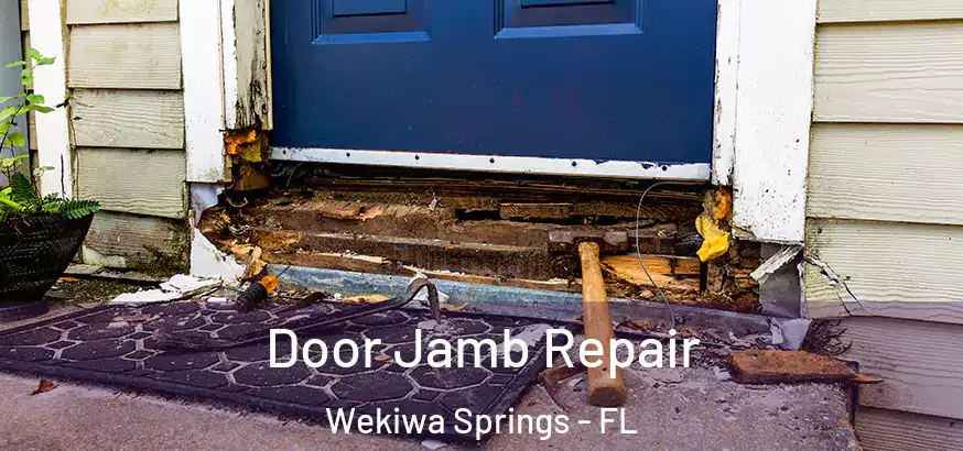  Door Jamb Repair Wekiwa Springs - FL