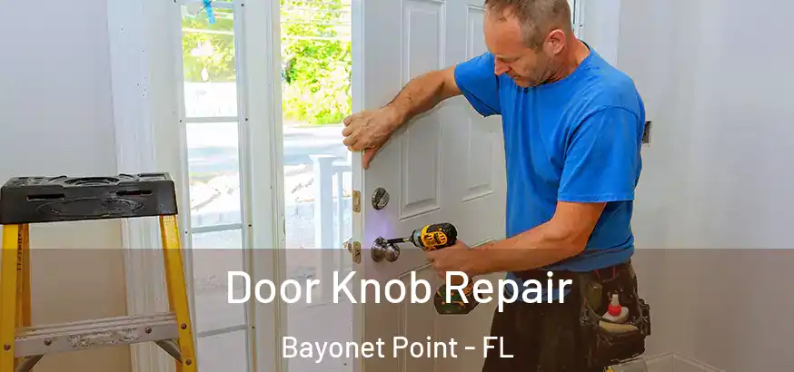  Door Knob Repair Bayonet Point - FL
