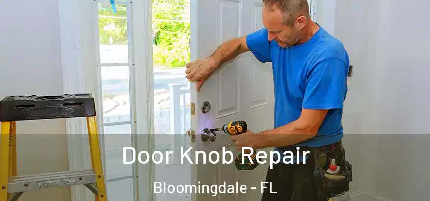  Door Knob Repair Bloomingdale - FL