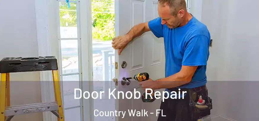  Door Knob Repair Country Walk - FL