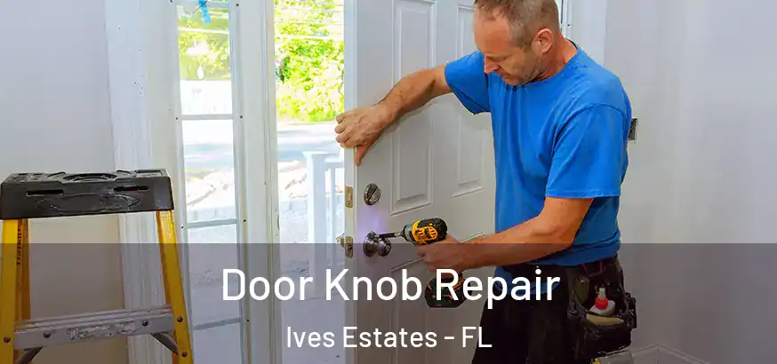  Door Knob Repair Ives Estates - FL