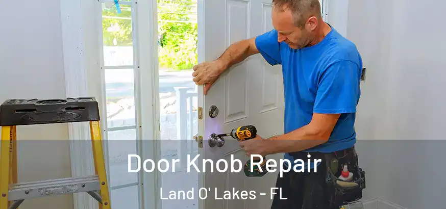  Door Knob Repair Land O' Lakes - FL