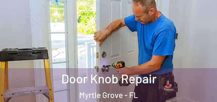  Door Knob Repair Myrtle Grove - FL