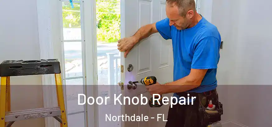  Door Knob Repair Northdale - FL